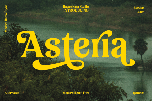 Asteria: A Serif Display Font That Gives Your Brand a Polished Voice