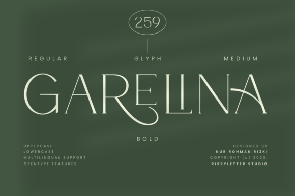 Garelina Serif Font: A Marketer’s Secret for Clean Campaign Visuals