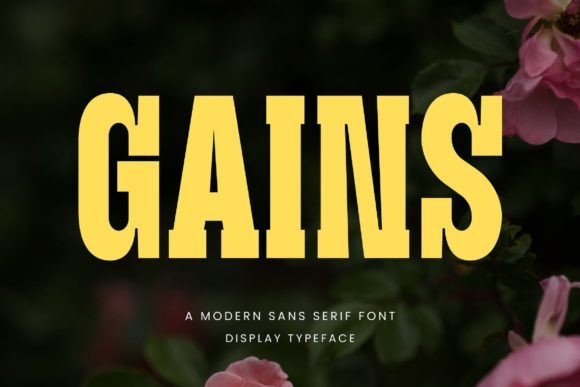 How Gains Font Gave My Small Business a Brand Upgrade