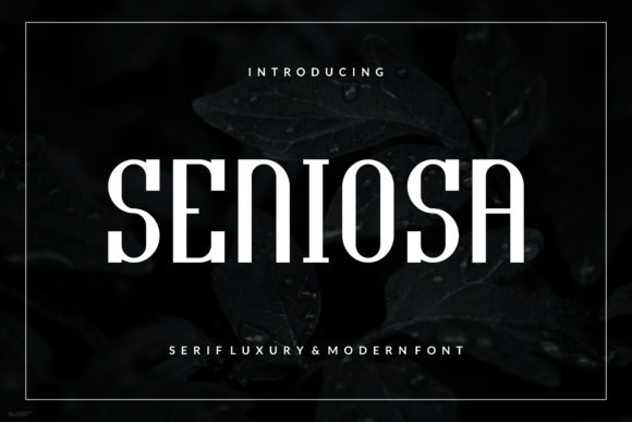 Seniosa Font: A Bold Modern Typeface for Handmade Brands