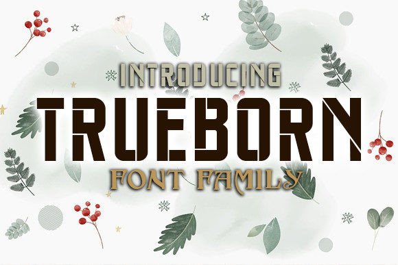Trueborn: An Elegant Display Font for Autumn Branding Projects